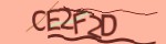 show_captcha