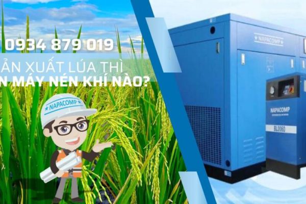 Sản xuất lúa thì mua máy nén khí trục vít nào phù hợp?