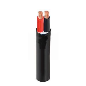 Dây cáp điện 2 lõi Cadivi CVV-2×4 – 300/500V Dây cáp điện 2 lõi Cadivi CVV-2×4 – 300/500V